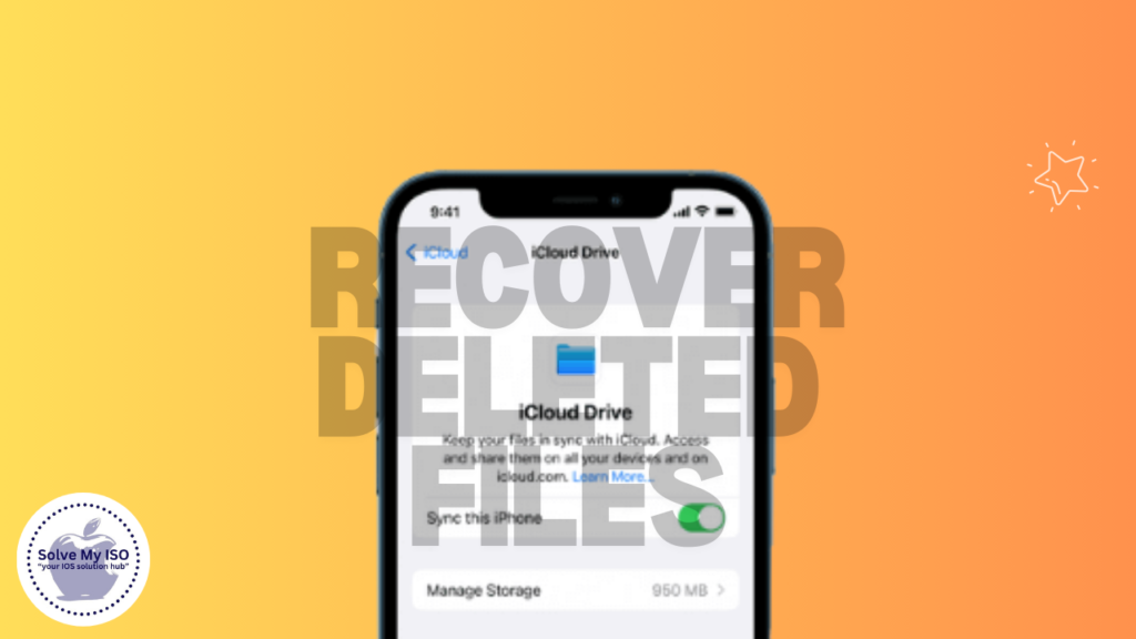 Recover Deleted Files from iCloud